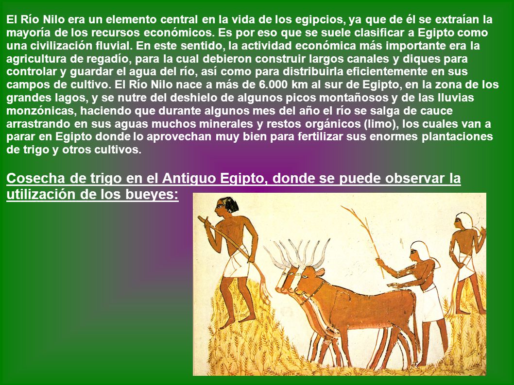 El Río Nilo era un elemento central en la vida de los egipcios, ya que de él se extraían la mayoría de los recursos económicos. Es por eso que se suele clasificar a Egipto como una civilización fluvial. En este sentido, la actividad económica más importante era la agricultura de regadío, para la cual debieron construir largos canales y diques para controlar y guardar el agua del río, así como para distribuirla eficientemente en sus campos de cultivo. El Río Nilo nace a más de km al sur de Egipto, en la zona de los grandes lagos, y se nutre del deshielo de algunos picos montañosos y de las lluvias monzónicas, haciendo que durante algunos mes del año el río se salga de cauce arrastrando en sus aguas muchos minerales y restos orgánicos (limo), los cuales van a parar en Egipto donde lo aprovechan muy bien para fertilizar sus enormes plantaciones de trigo y otros cultivos.