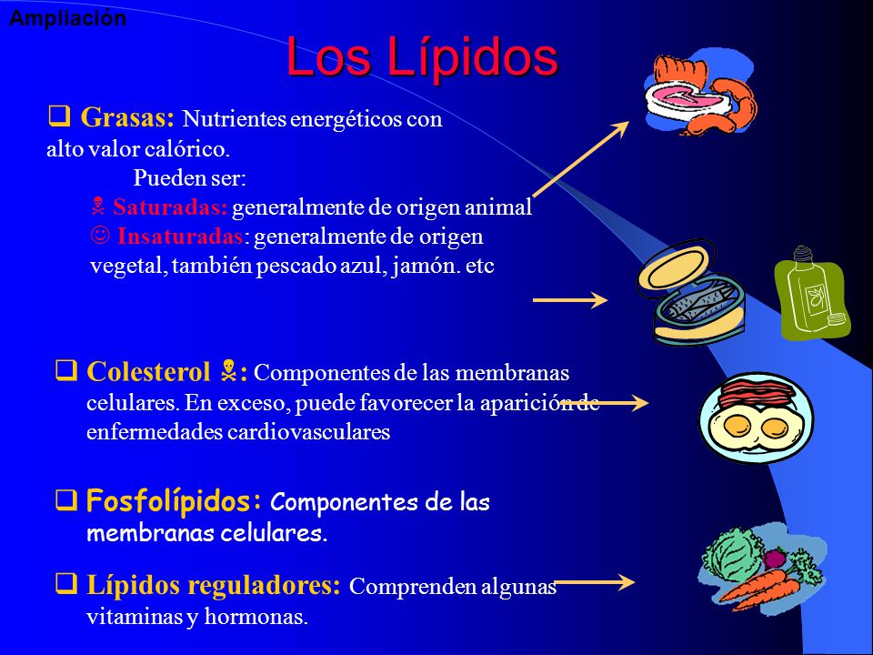 Los Lípidos Grasas: Nutrientes energéticos con alto valor calórico.