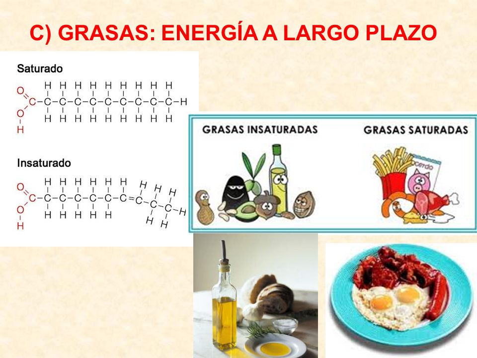 C) GRASAS: ENERGÍA A LARGO PLAZO