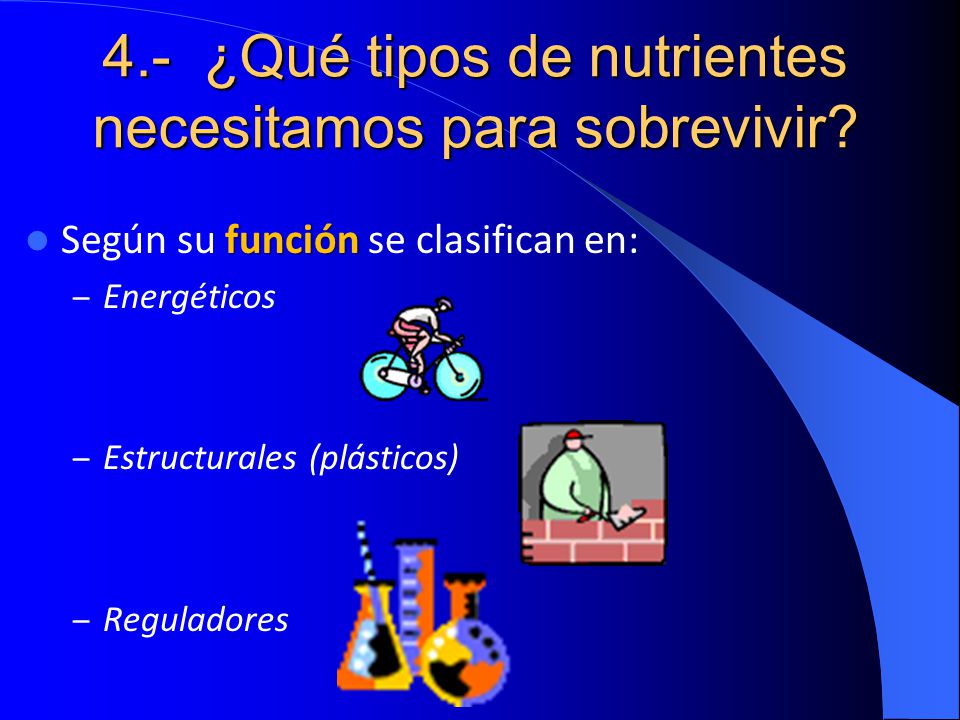 4.- ¿Qué tipos de nutrientes necesitamos para sobrevivir