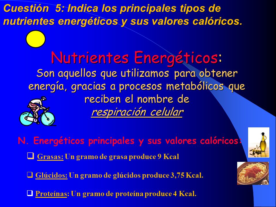 Cuestión 5: Indica los principales tipos de nutrientes energéticos y sus valores calóricos.