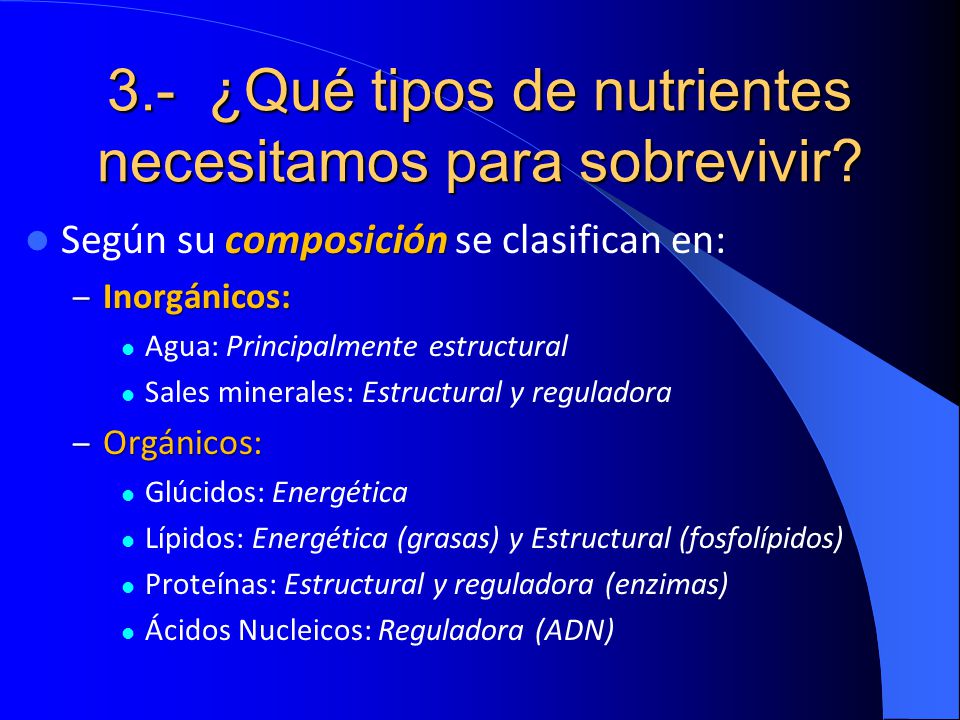 3.- ¿Qué tipos de nutrientes necesitamos para sobrevivir