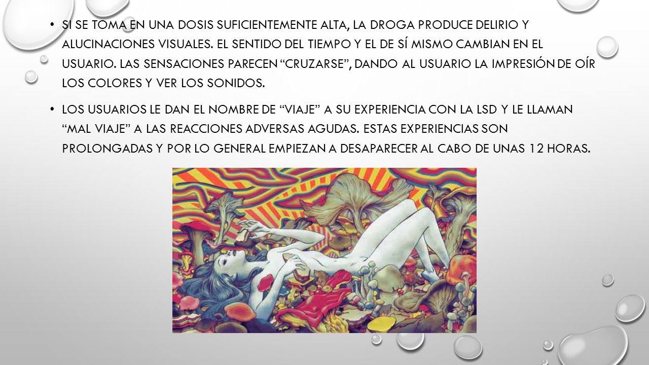 Si se toma en una dosis suficientemente alta, la droga produce delirio y alucinaciones visuales. El sentido del tiempo y el de sí mismo cambian en el usuario. Las sensaciones parecen cruzarse , dando al usuario la impresión de oír los colores y ver los sonidos.