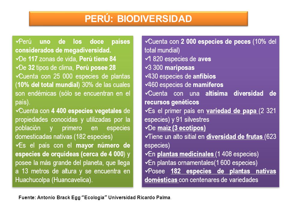 PERÚ: BIODIVERSIDAD Perú uno de los doce países considerados de megadiversidad. De 117 zonas de vida, Perú tiene 84.