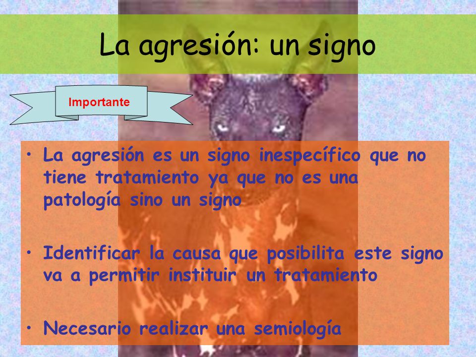 La agresión: un signo Importante. La agresión es un signo inespecífico que no tiene tratamiento ya que no es una patología sino un signo.