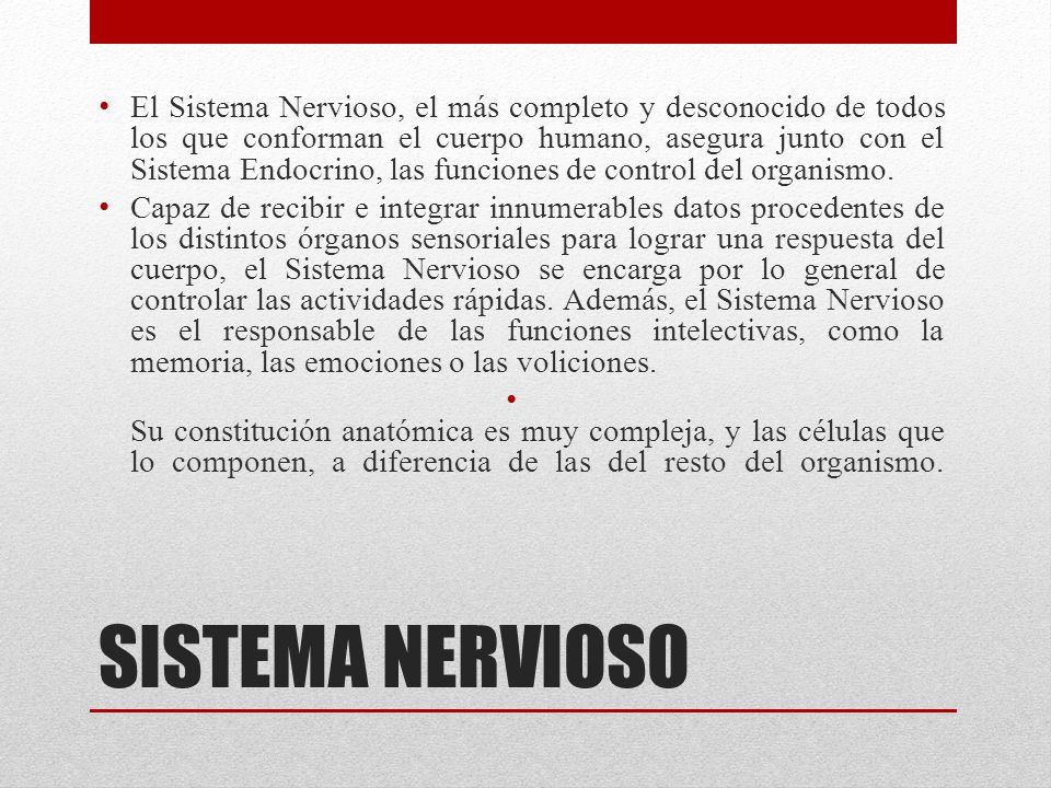 El Sistema Nervioso, el más completo y desconocido de todos los que conforman el cuerpo humano, asegura junto con el Sistema Endocrino, las funciones de control del organismo.
