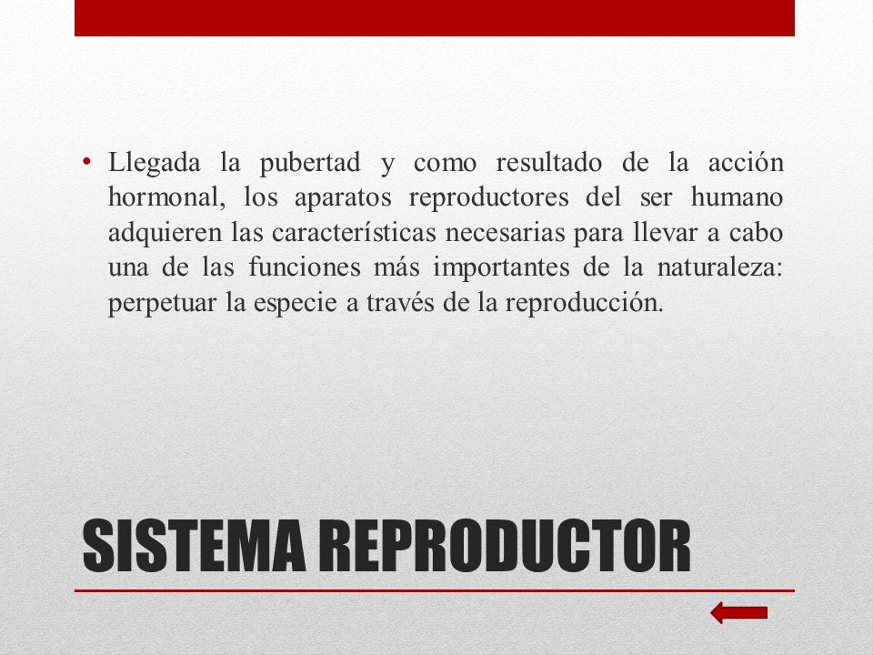 Llegada la pubertad y como resultado de la acción hormonal, los aparatos reproductores del ser humano adquieren las características necesarias para llevar a cabo una de las funciones más importantes de la naturaleza: perpetuar la especie a través de la reproducción.
