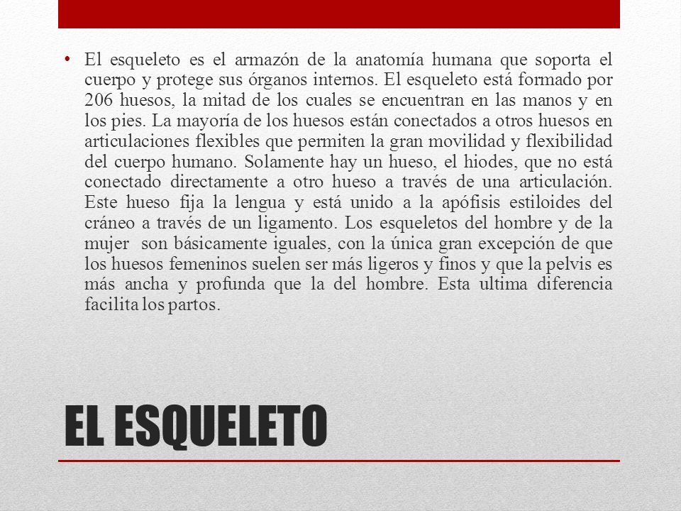 El esqueleto es el armazón de la anatomía humana que soporta el cuerpo y protege sus órganos internos. El esqueleto está formado por 206 huesos, la mitad de los cuales se encuentran en las manos y en los pies. La mayoría de los huesos están conectados a otros huesos en articulaciones flexibles que permiten la gran movilidad y flexibilidad del cuerpo humano. Solamente hay un hueso, el hiodes, que no está conectado directamente a otro hueso a través de una articulación. Este hueso fija la lengua y está unido a la apófisis estiloides del cráneo a través de un ligamento. Los esqueletos del hombre y de la mujer son básicamente iguales, con la única gran excepción de que los huesos femeninos suelen ser más ligeros y finos y que la pelvis es más ancha y profunda que la del hombre. Esta ultima diferencia facilita los partos.