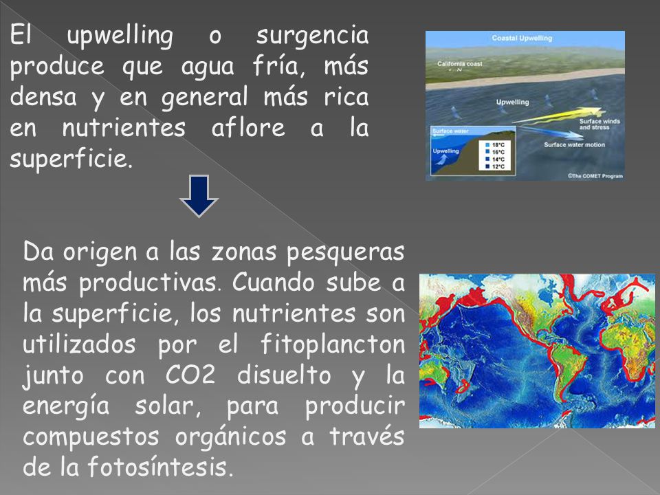 El upwelling o surgencia produce que agua fría, más densa y en general más rica en nutrientes aflore a la superficie.