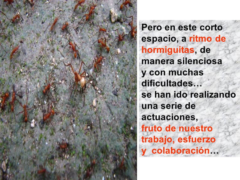 Pero en este corto espacio, a ritmo de hormiguitas, de manera silenciosa