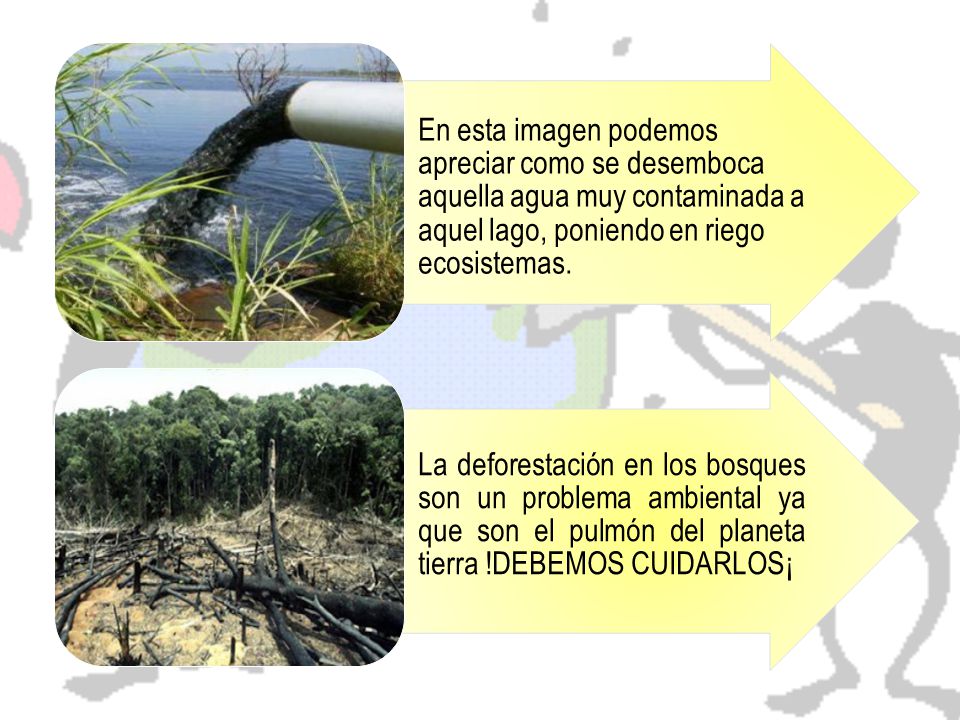 En esta imagen podemos apreciar como se desemboca aquella agua muy contaminada a aquel lago, poniendo en riego ecosistemas.