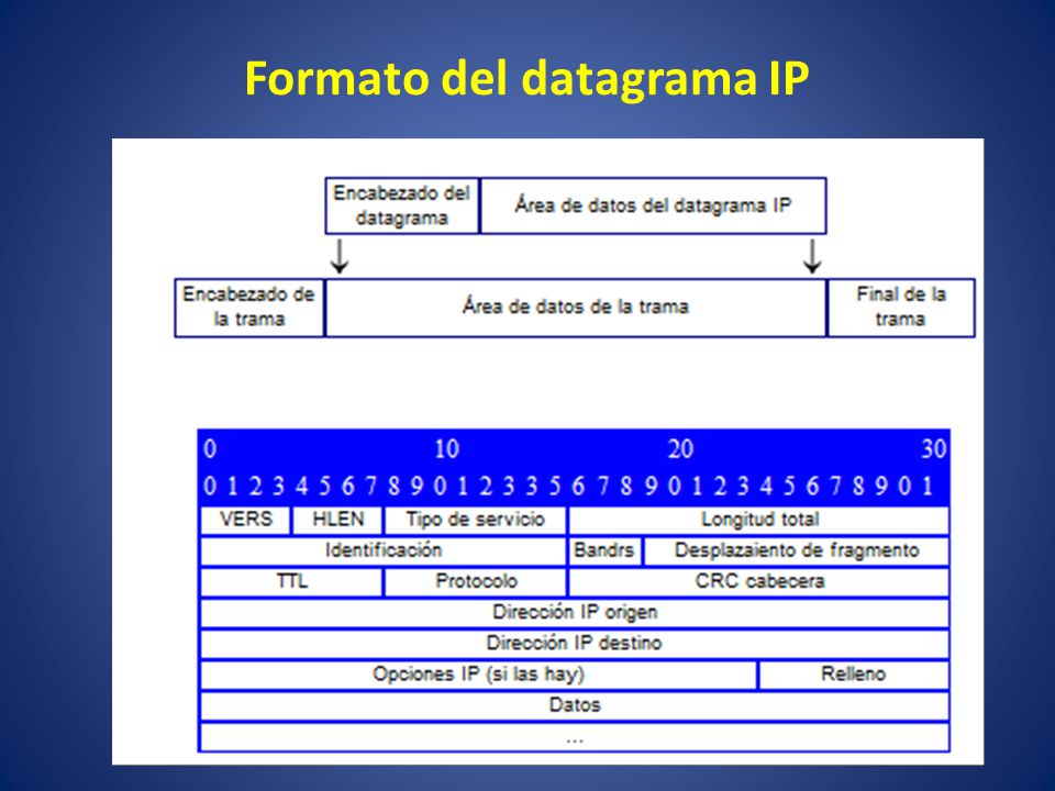 Formato del datagrama IP
