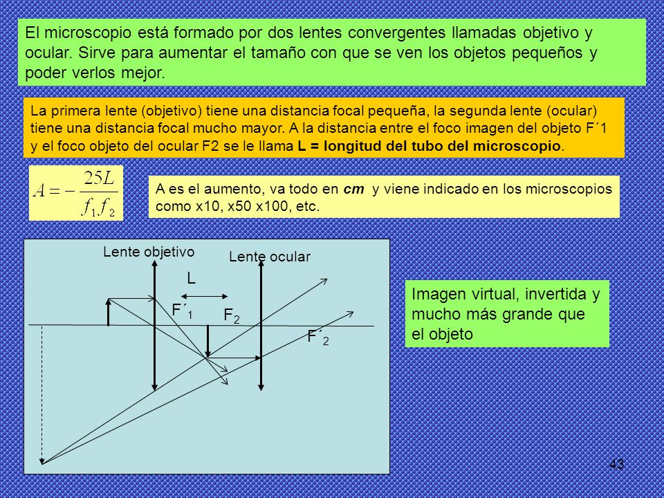 Imagen virtual, invertida y mucho más grande que el objeto