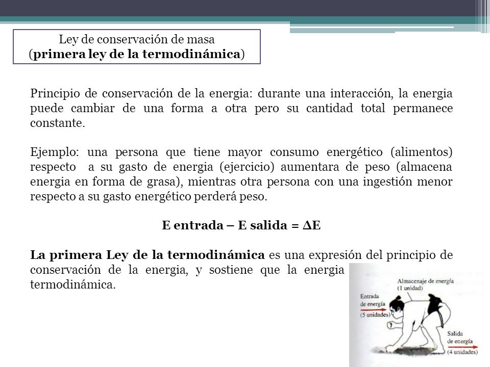 Ley de conservación de masa (primera ley de la termodinámica)