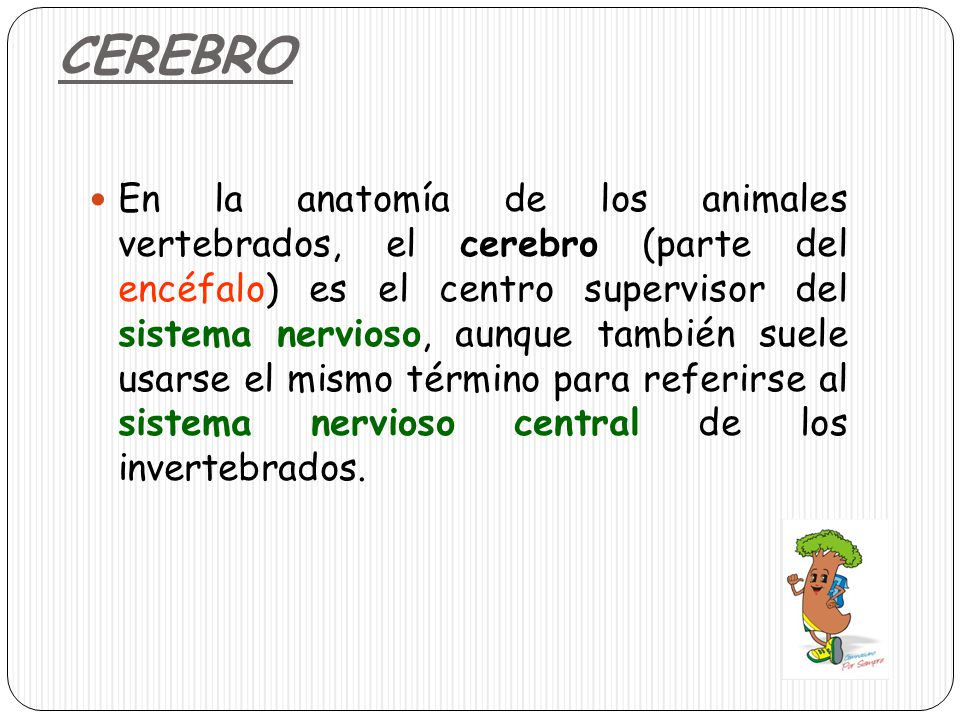 CEREBRO