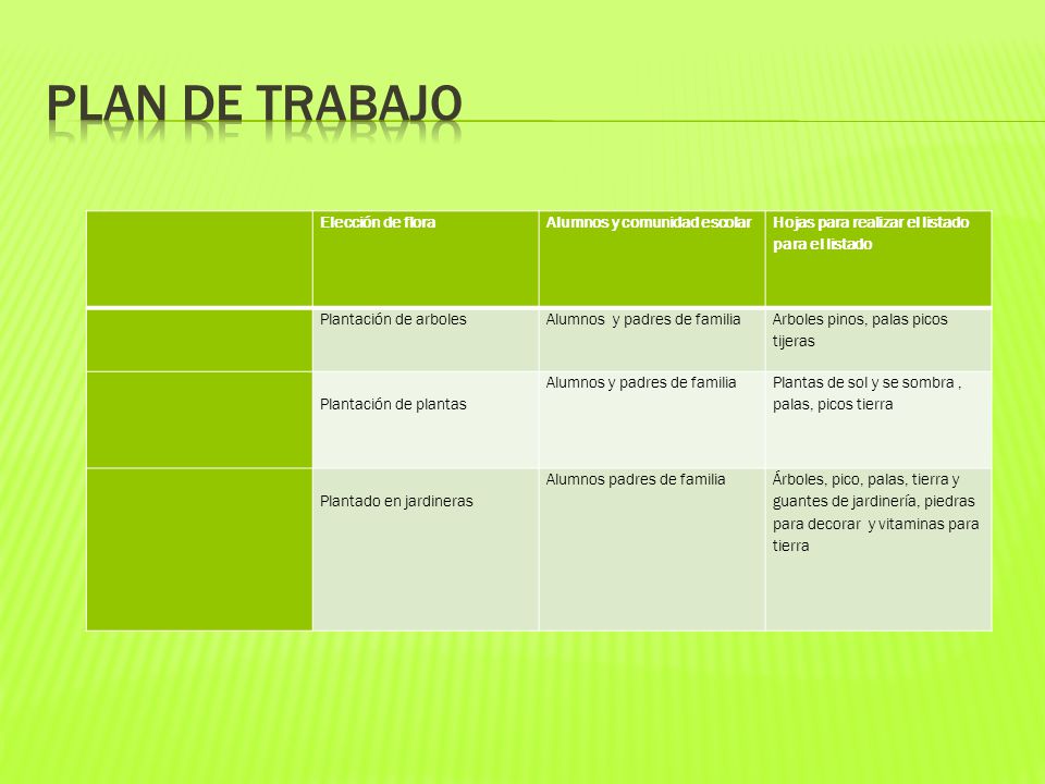 Plan de trabajo Elección de flora Alumnos y comunidad escolar