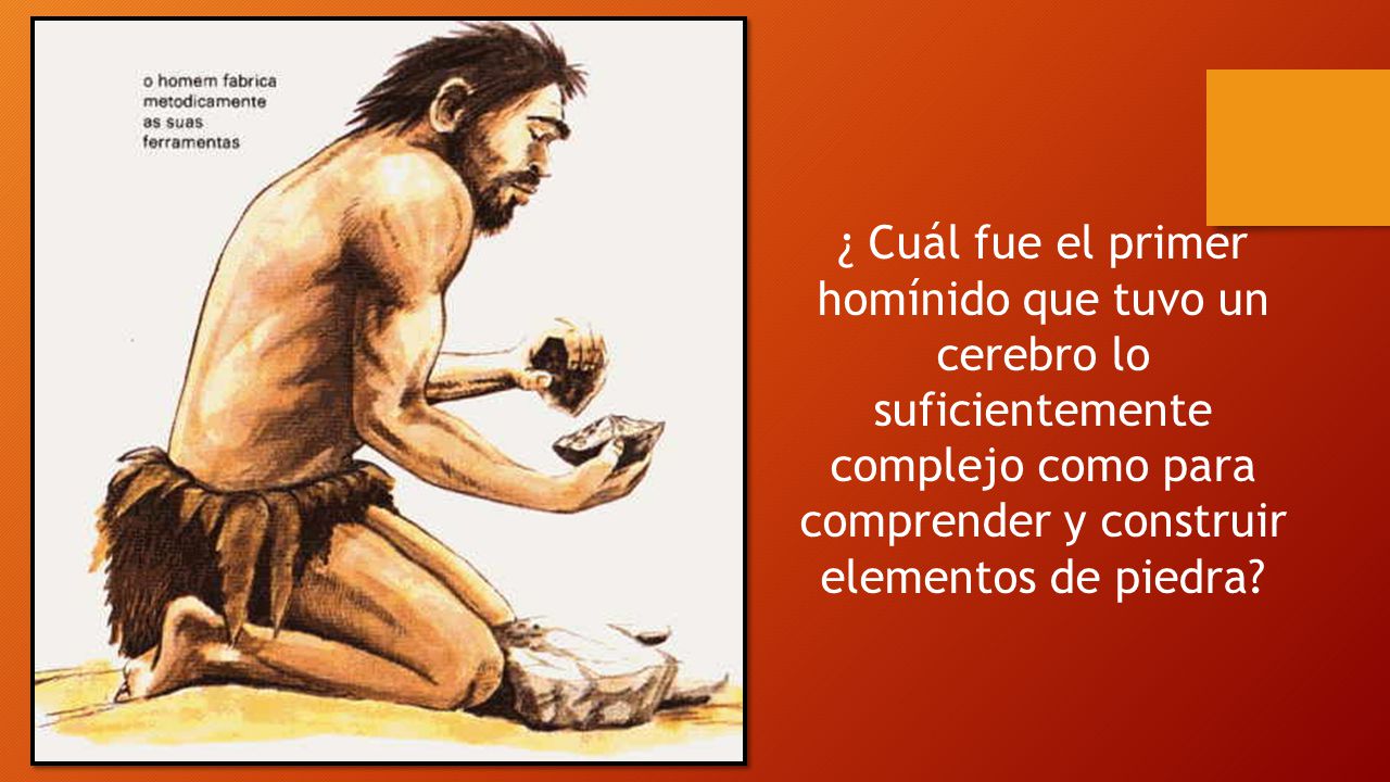 ¿ Cuál fue el primer homínido que tuvo un cerebro lo suficientemente complejo como para comprender y construir elementos de piedra