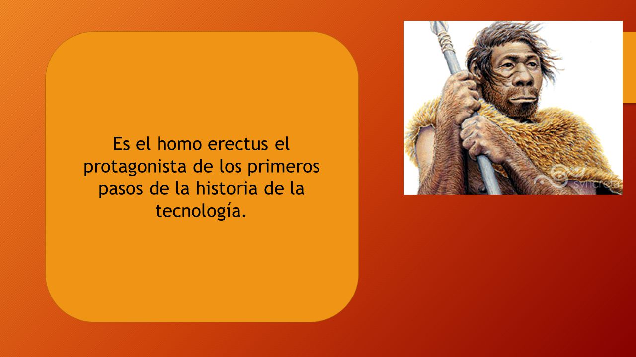 Es el homo erectus el protagonista de los primeros pasos de la historia de la tecnología.