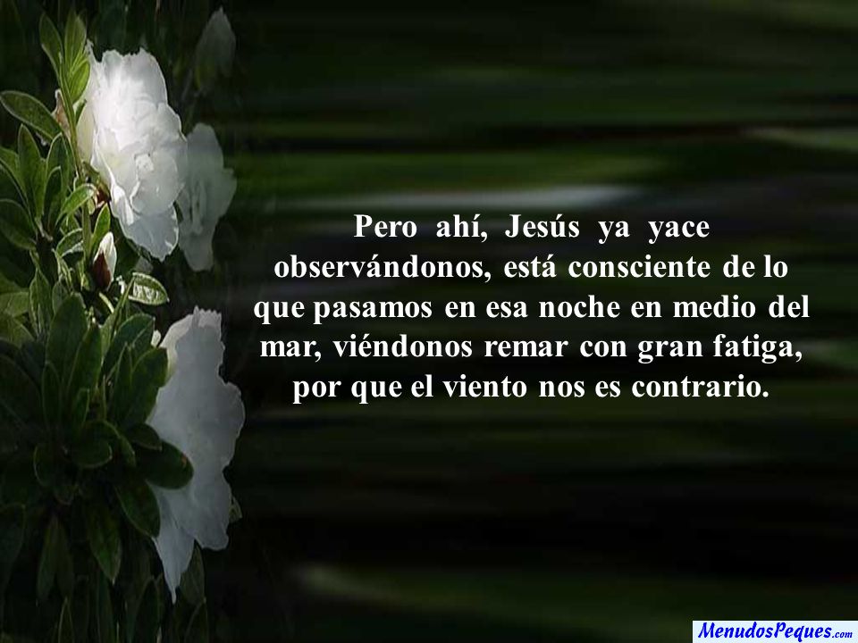 Pero ahí, Jesús ya yace observándonos, está consciente de lo que pasamos en esa noche en medio del mar, viéndonos remar con gran fatiga, por que el viento nos es contrario.