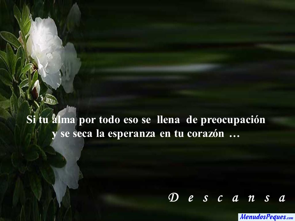 D e s c a n s a Si tu alma por todo eso se llena de preocupación