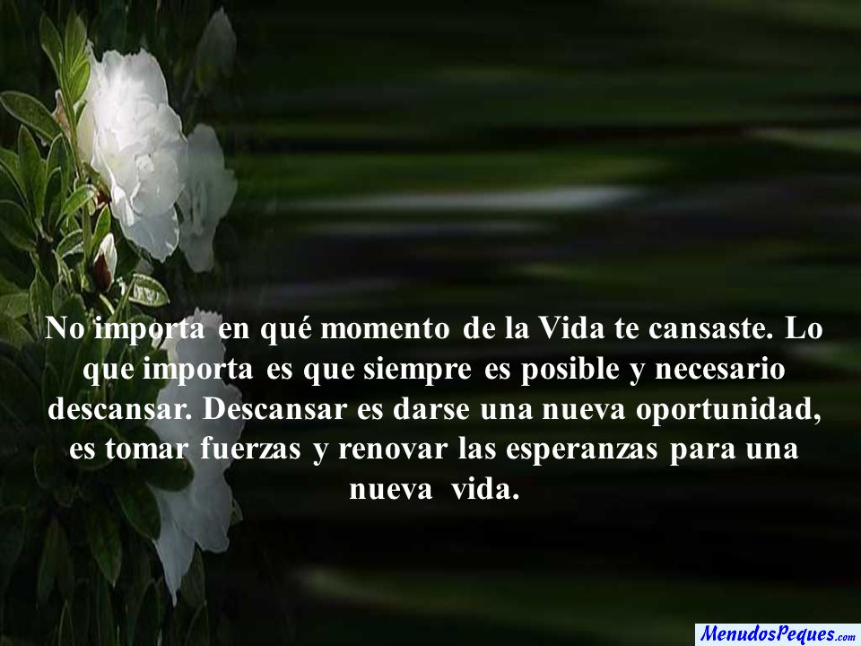 No importa en qué momento de la Vida te cansaste