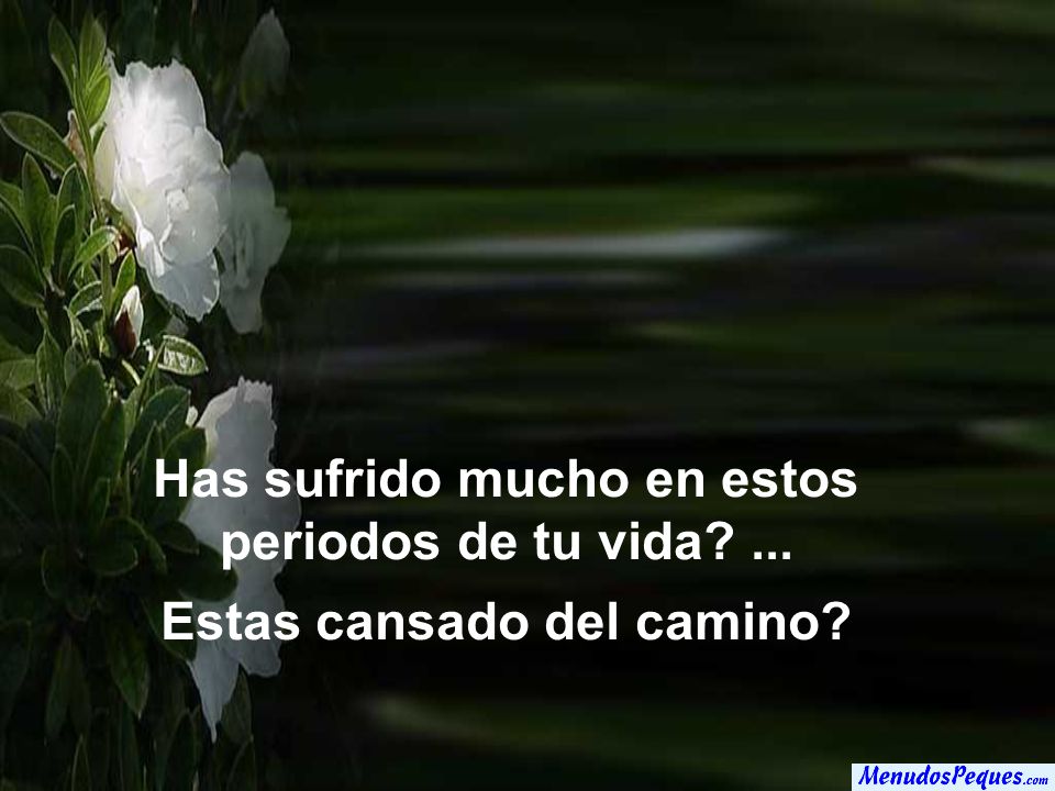 Has sufrido mucho en estos periodos de tu vida ...