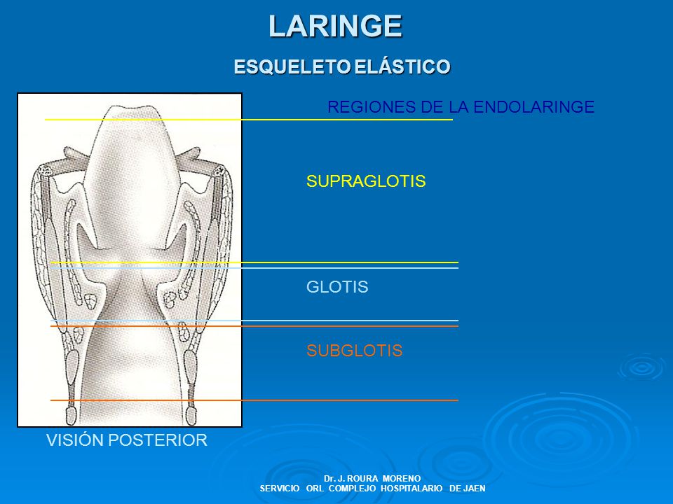Dr. J. ROURA MORENO SERVICIO ORL COMPLEJO HOSPITALARIO DE JAEN