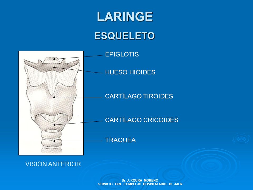 Dr. J. ROURA MORENO SERVICIO ORL COMPLEJO HOSPITALARIO DE JAEN