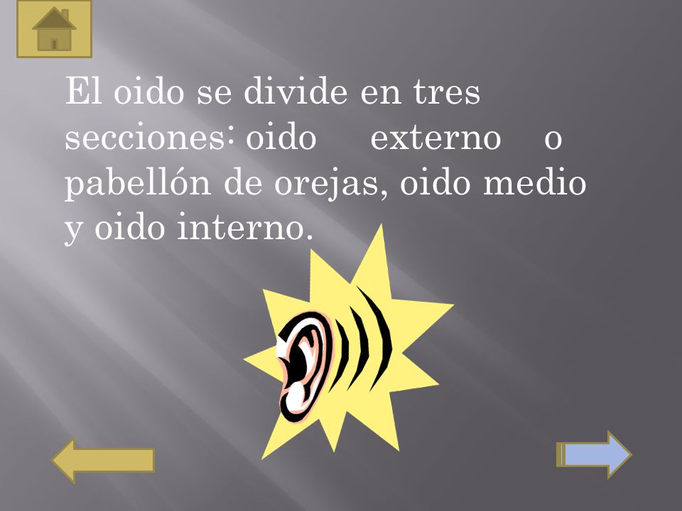 El oido se divide en tres secciones: oido externo o pabellón de orejas, oido medio y oido interno.