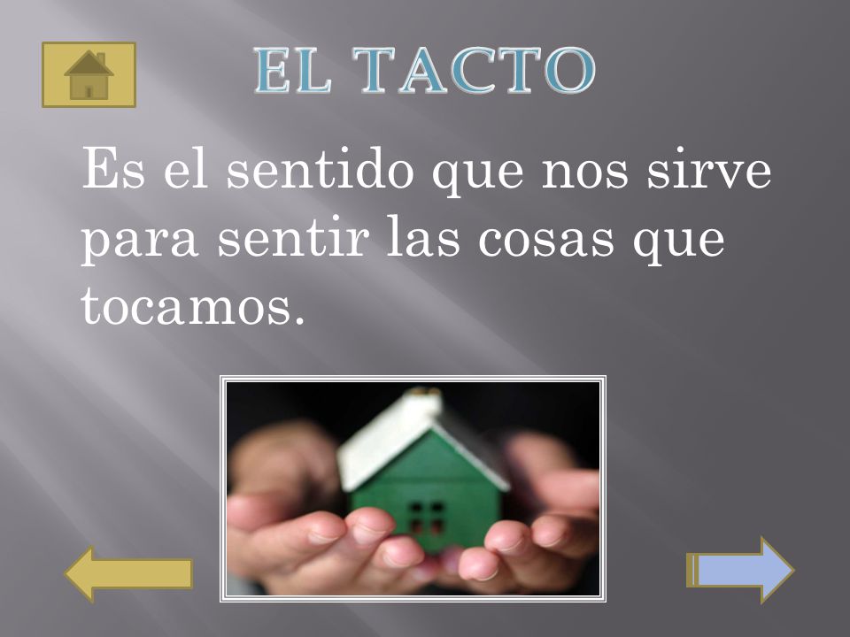 EL TACTO Es el sentido que nos sirve para sentir las cosas que tocamos.