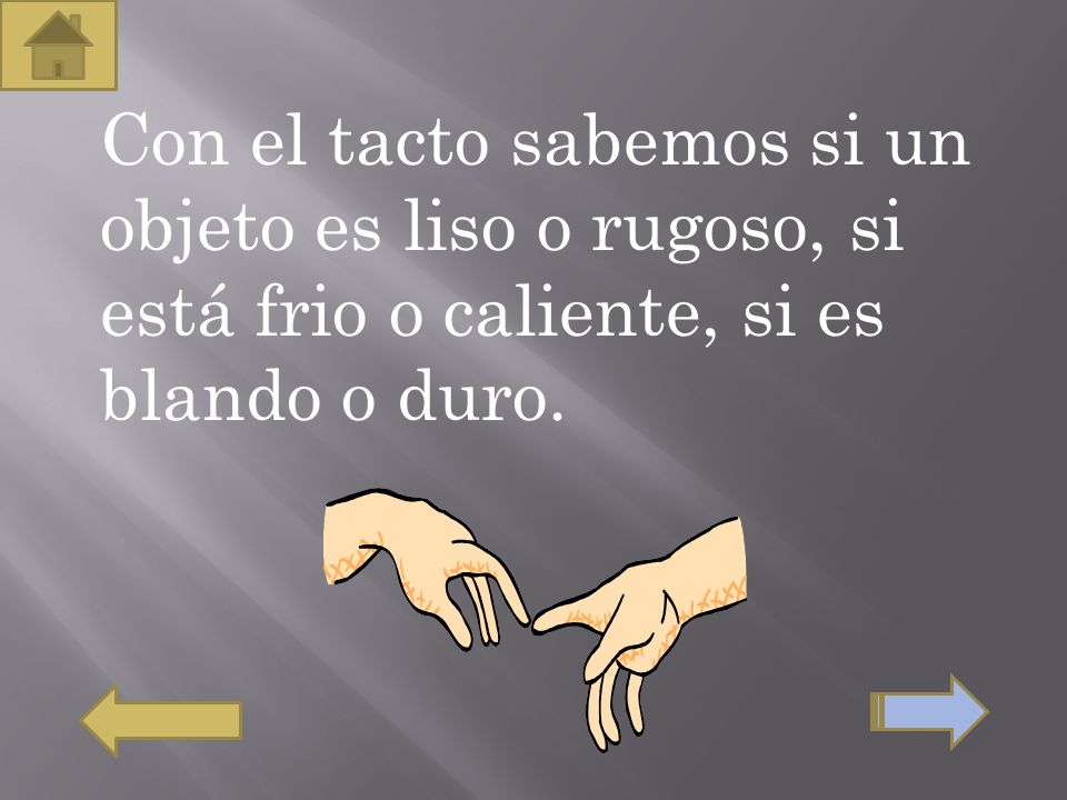 Con el tacto sabemos si un objeto es liso o rugoso, si está frio o caliente, si es blando o duro.