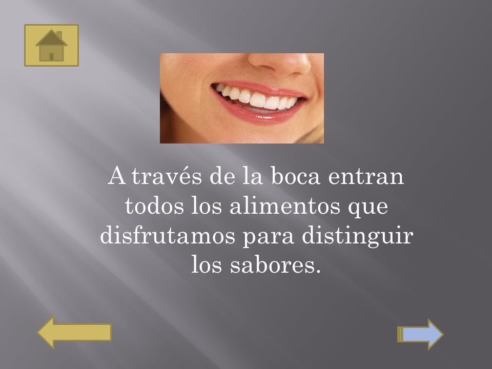 A través de la boca entran todos los alimentos que disfrutamos para distinguir los sabores.