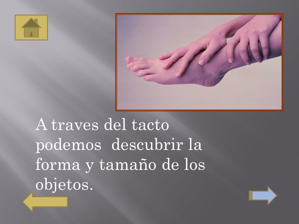 A traves del tacto podemos descubrir la forma y tamaño de los objetos.