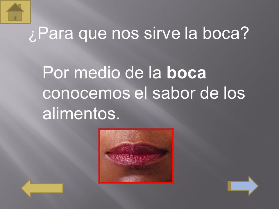 Por medio de la boca conocemos el sabor de los alimentos.