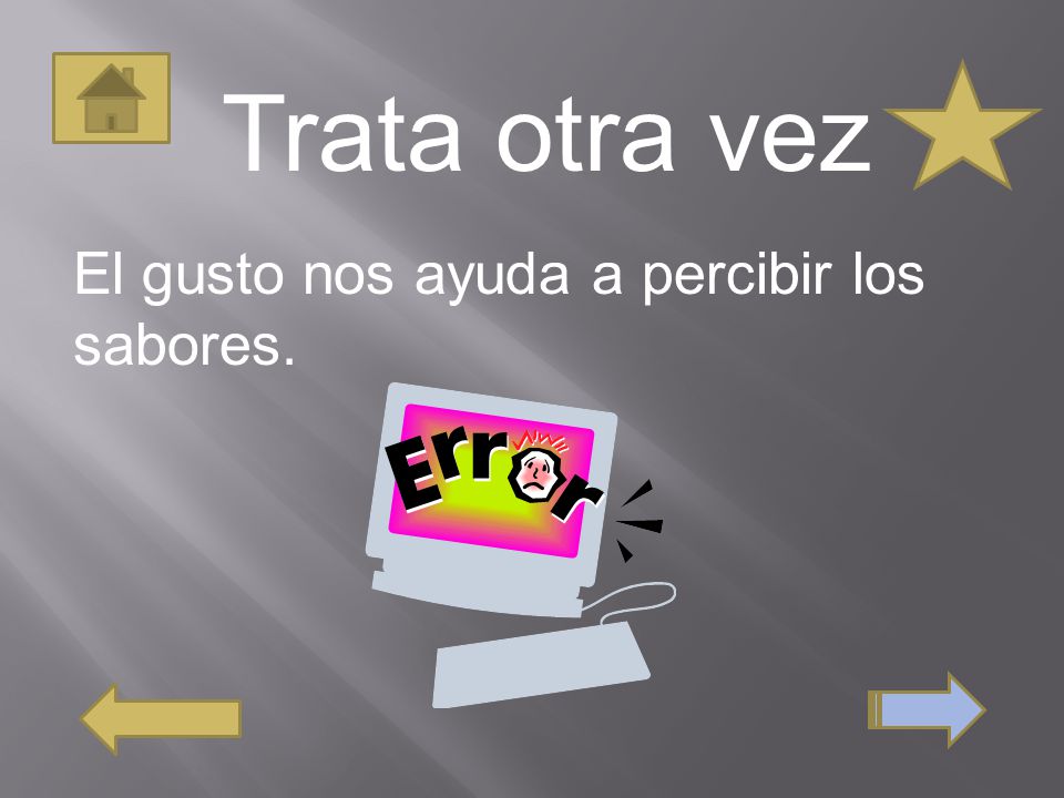 Trata otra vez El gusto nos ayuda a percibir los sabores.