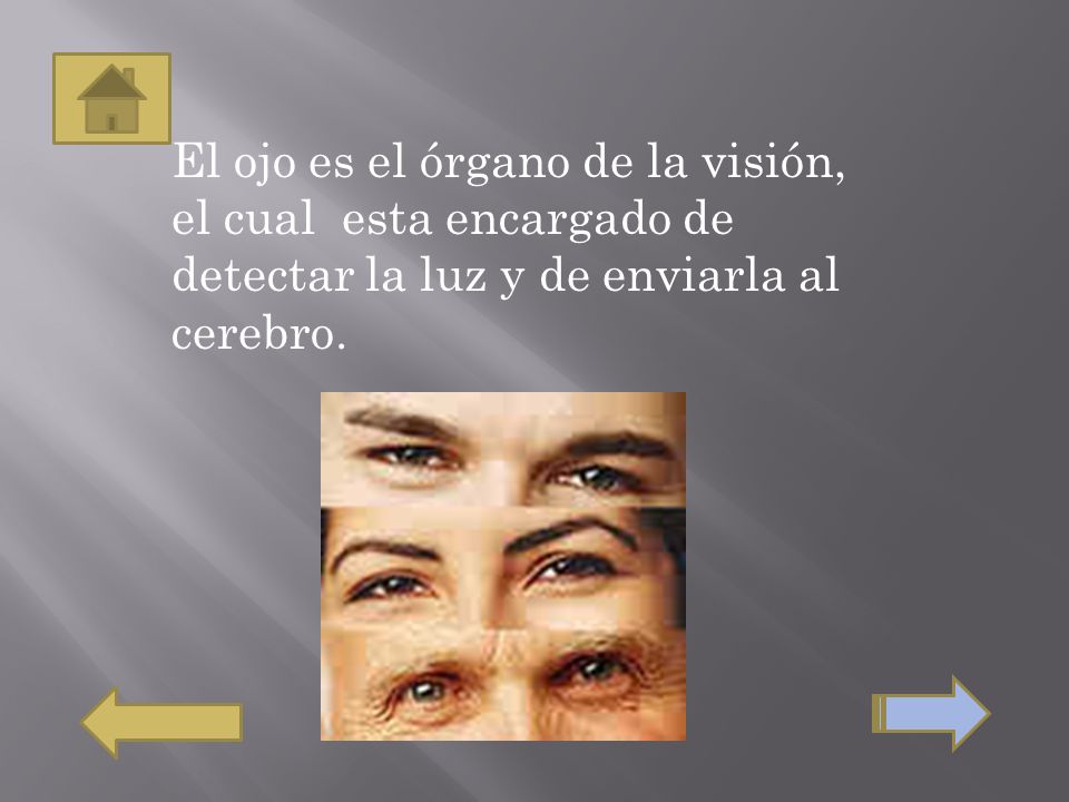 El ojo es el órgano de la visión, el cual esta encargado de detectar la luz y de enviarla al cerebro.