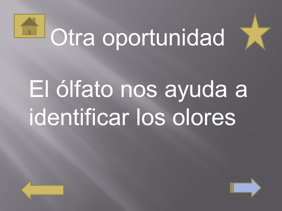 Otra oportunidad El ólfato nos ayuda a identificar los olores