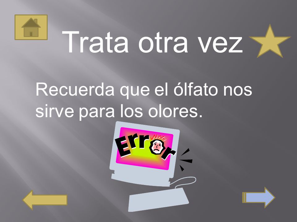Trata otra vez Recuerda que el ólfato nos sirve para los olores.