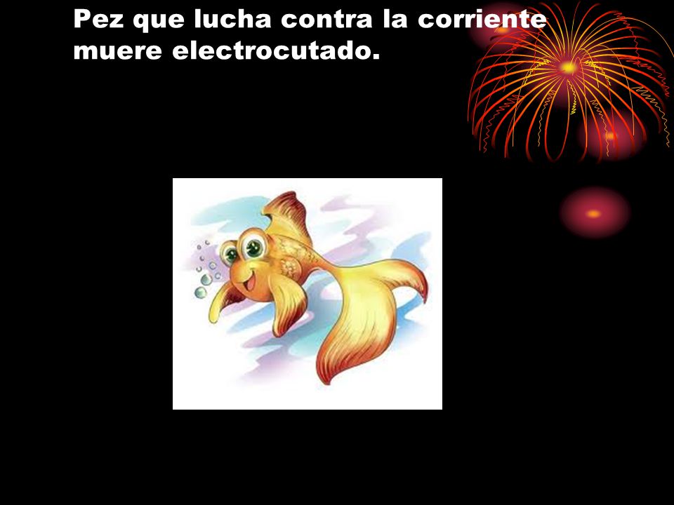 Pez que lucha contra la corriente muere electrocutado.