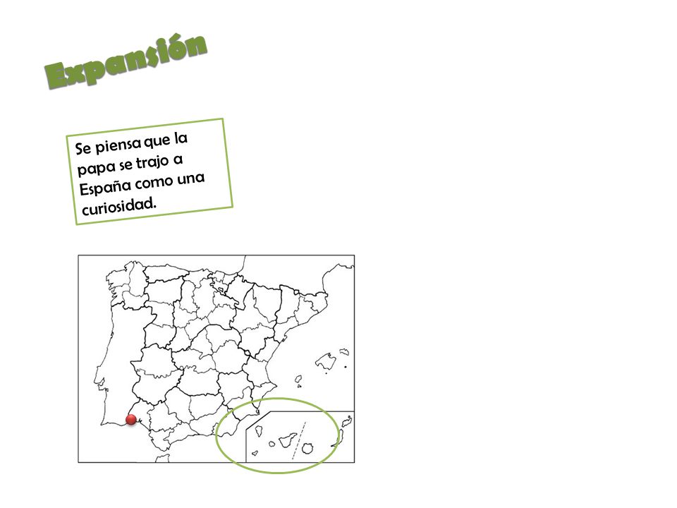 Expansión Se piensa que la papa se trajo a España como una curiosidad.