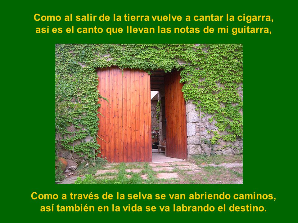 Como al salir de la tierra vuelve a cantar la cigarra,