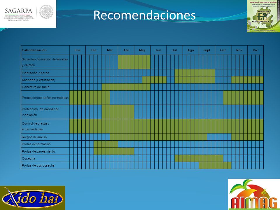 Recomendaciones Calendarización Ene Feb Mar Abr May Jun Jul Ago Sept