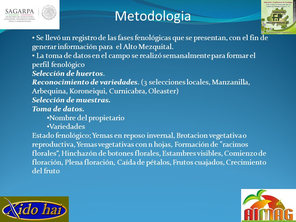 Metodologia Se llevó un registro de las fases fenológicas que se presentan, con el fin de generar información para el Alto Mezquital.