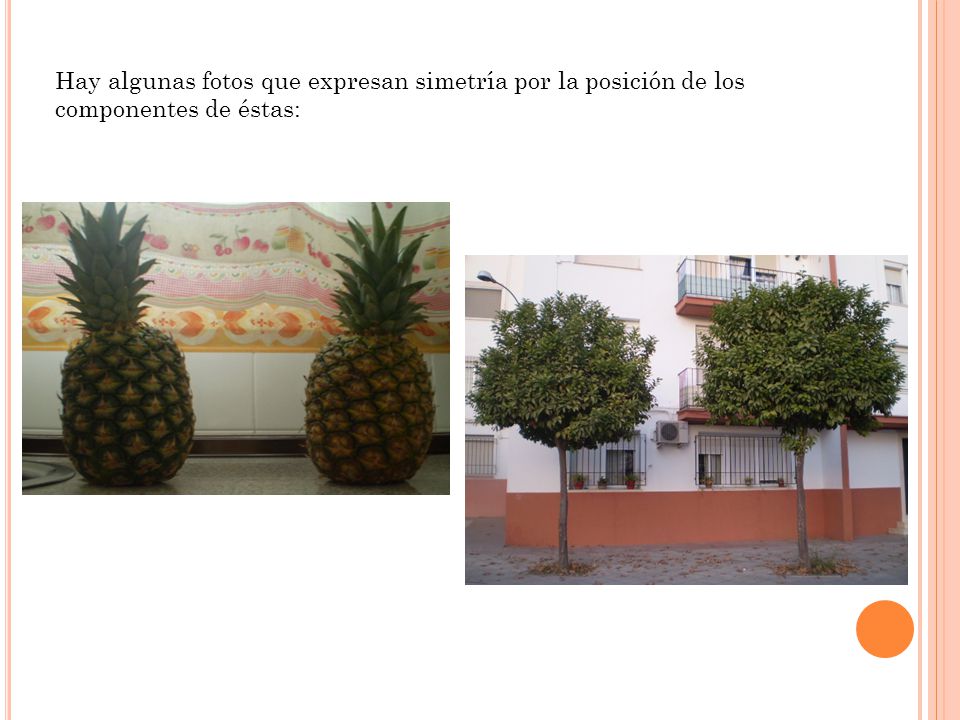 Hay algunas fotos que expresan simetría por la posición de los componentes de éstas: