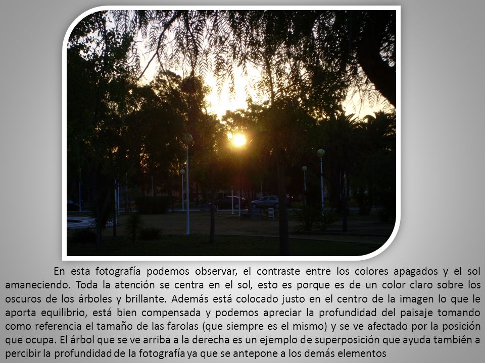 En esta fotografía podemos observar, el contraste entre los colores apagados y el sol amaneciendo.