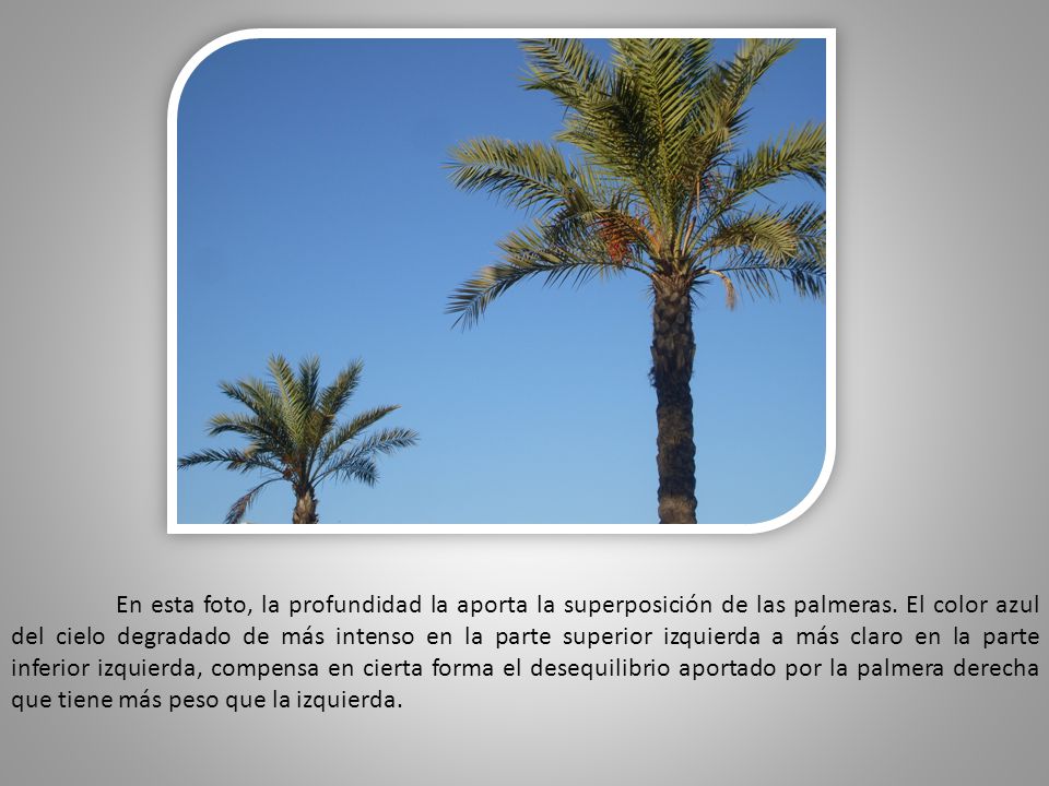 En esta foto, la profundidad la aporta la superposición de las palmeras.