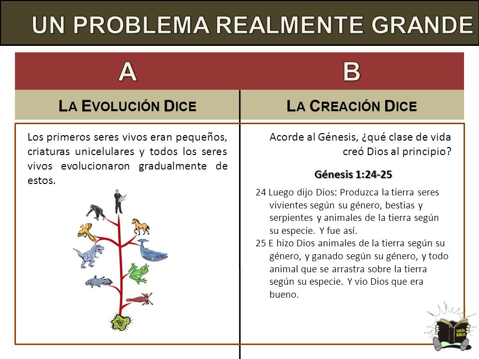 A B UN PROBLEMA REALMENTE GRANDE La Evolución Dice La Creación Dice