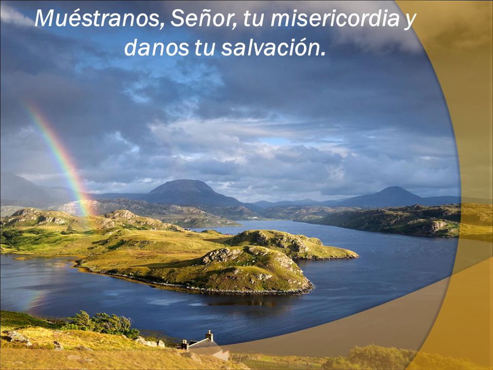Muéstranos, Señor, tu misericordia y danos tu salvación.