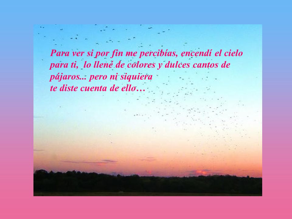 Para ver si por fin me percibías, encendí el cielo para ti, lo llené de colores y dulces cantos de pájaros...