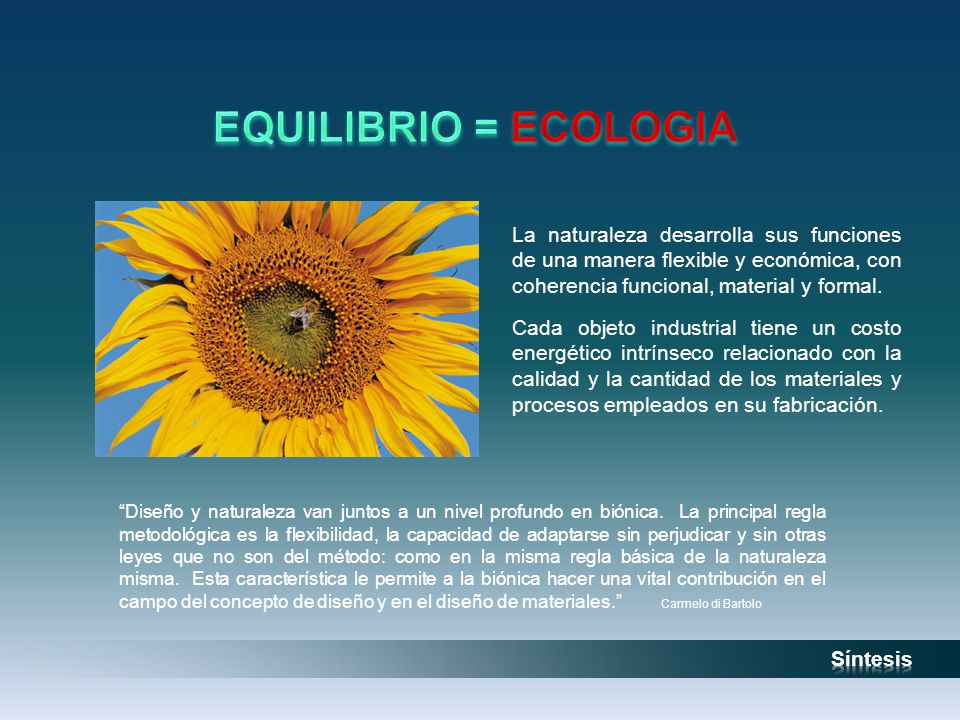 EQUILIBRIO = ECOLOGIA La naturaleza desarrolla sus funciones de una manera flexible y económica, con coherencia funcional, material y formal.